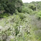 Veronica Leal in 'She Loves Money And Dick'