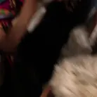 Xianna Hill in 'Shopping For A Big Dick'