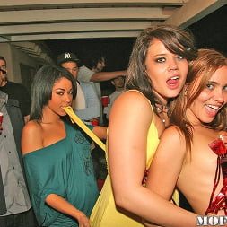 The Lord-Have-Mercy Party