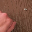 Athena Angel in 'Neighborly Suck and Fuck'