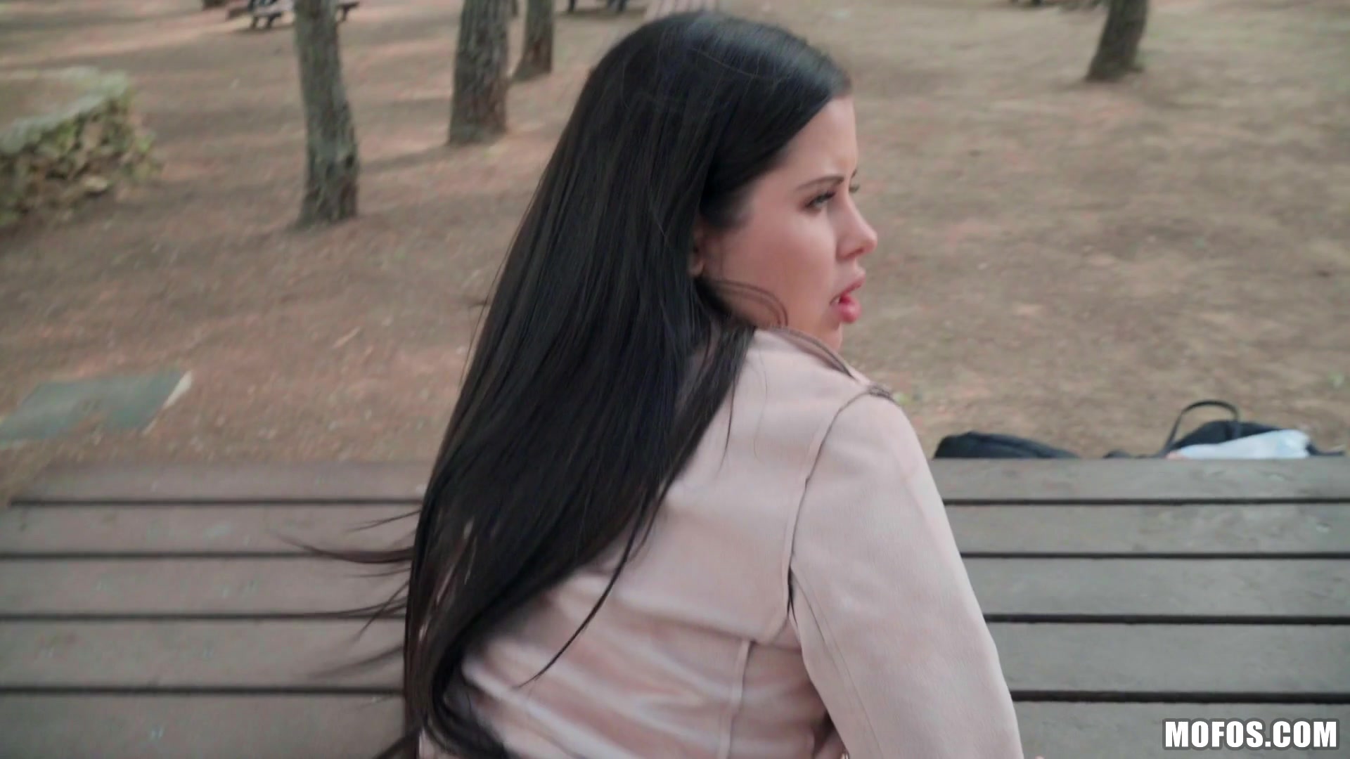 Brunette Babe's Public Fuck