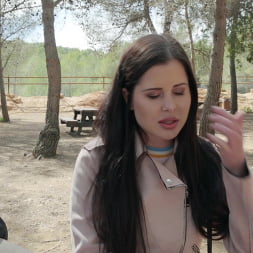 Brunette Babe's Public Fuck