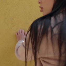 Brunette Babe's Public Fuck