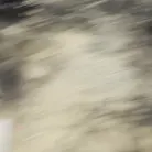 Cassie Right in 'Brunette Babe's Public Fuck'