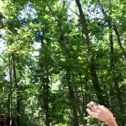 Wild Forest Fucking