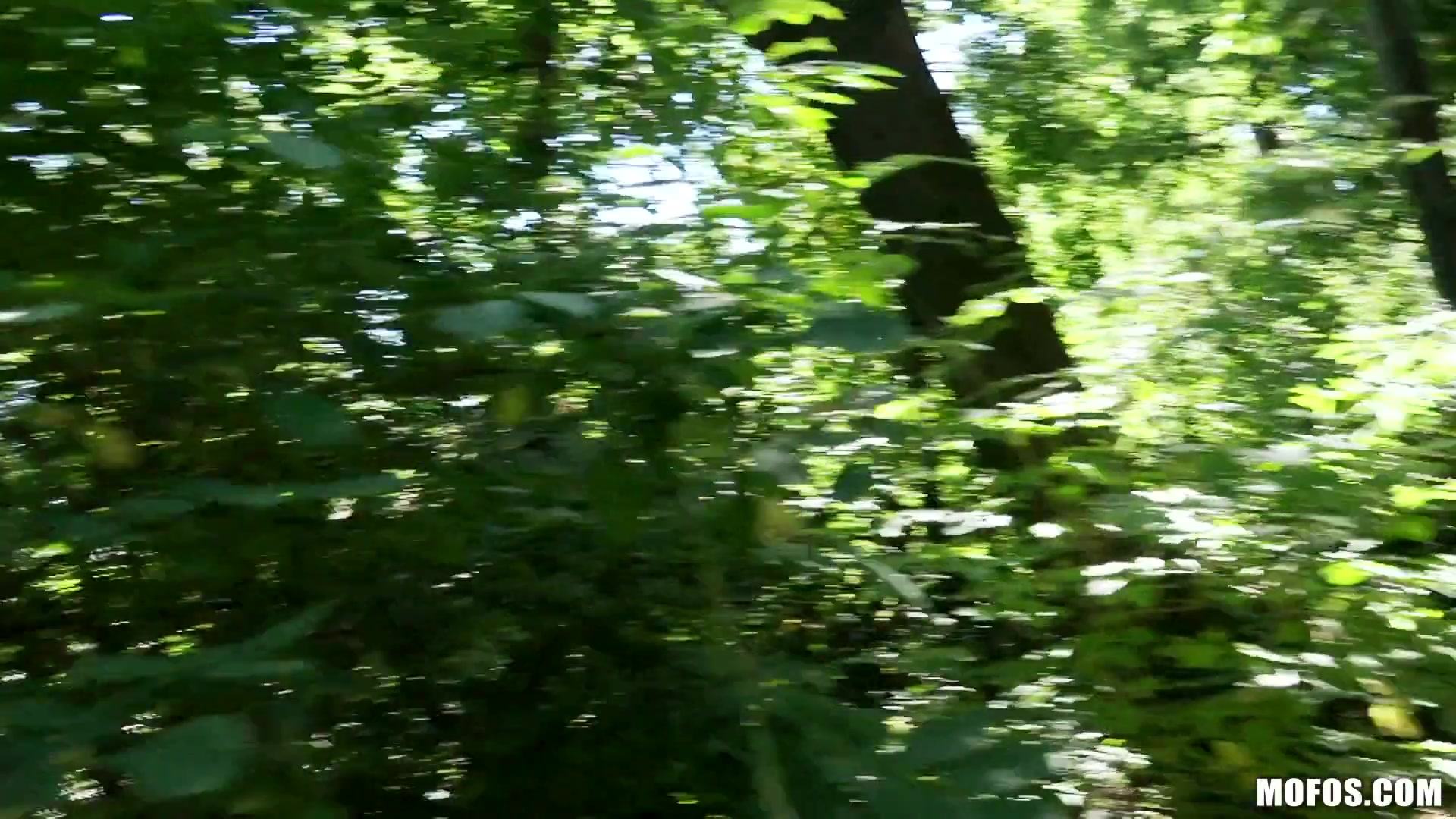 Wild Forest Fucking