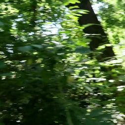 Wild Forest Fucking