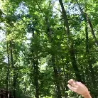 Empera in 'Wild Forest Fucking'