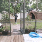 Marley Brinx in 'Rooftop Locked Out'