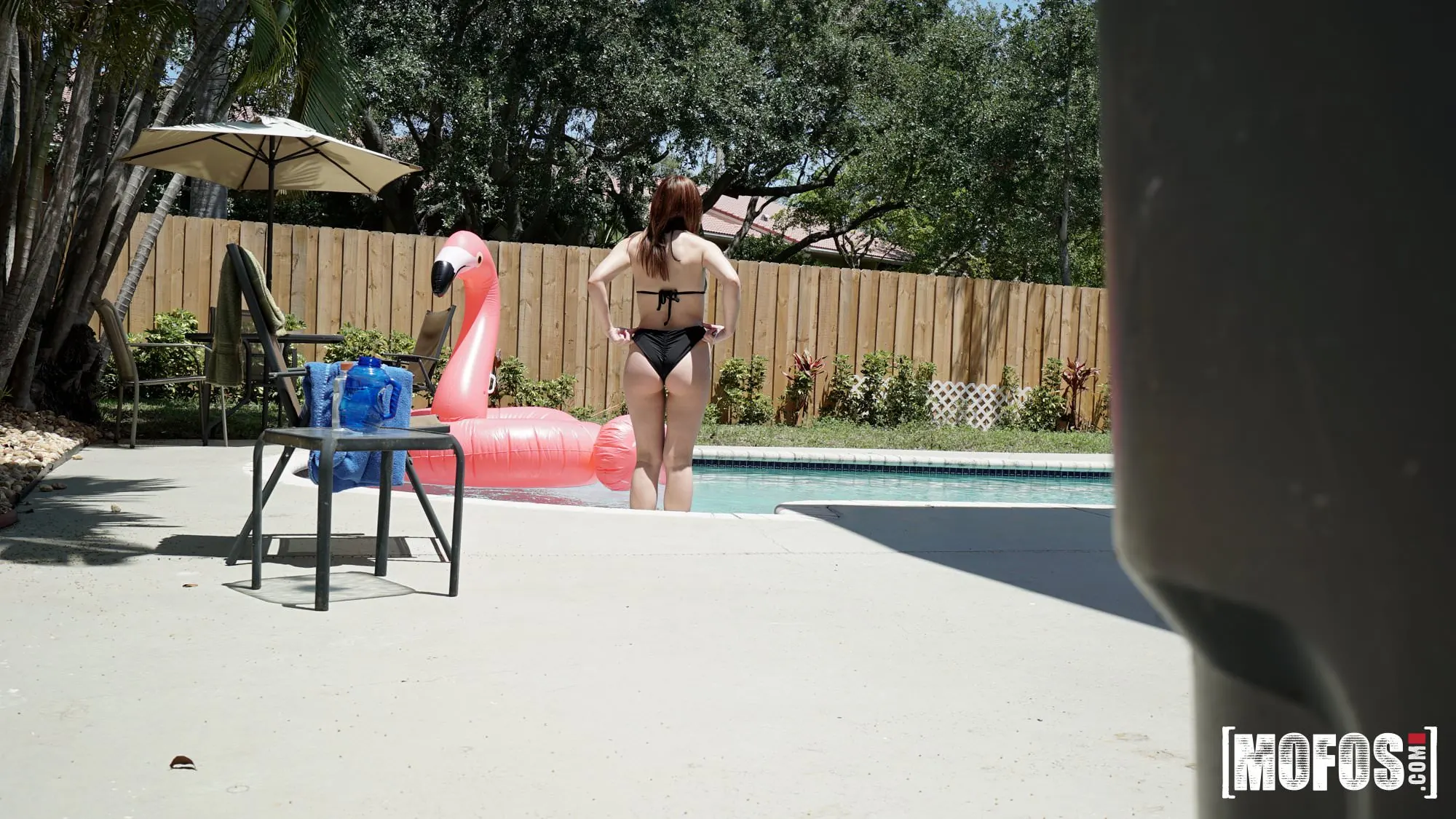 Scarlett Johnson - Mirar junto a la piscina | Picture (6)