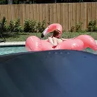 Scarlett Johnson in 'Poolside Peeking'