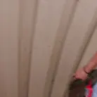 Sloan Harper in 'Curvy Glasses Chick Outdoor Sex'